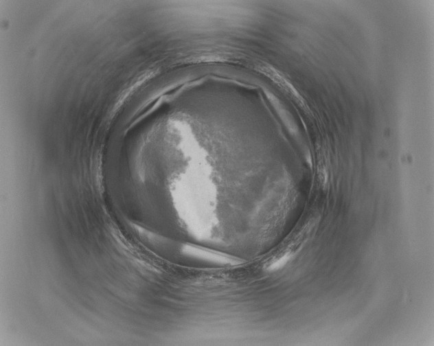 X0000075380386200609291556