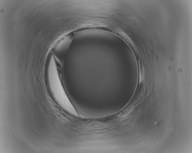 X0000075380387200609291556