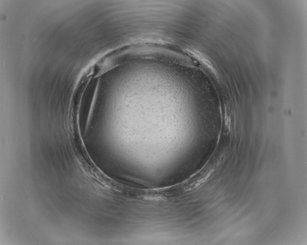 X0000075380388200609291556