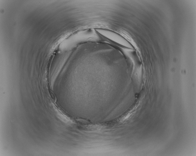 X0000075380389200609291556