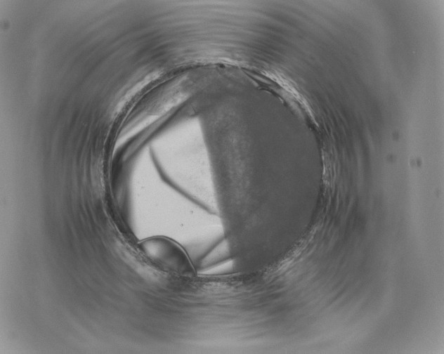 X0000075380390200609291556