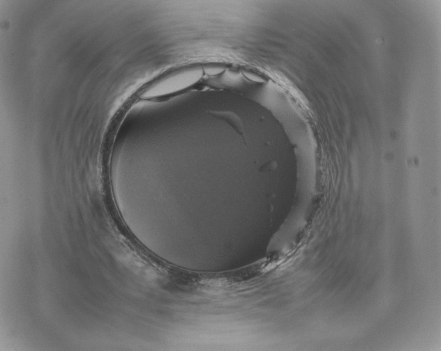 X0000075380391200609291556