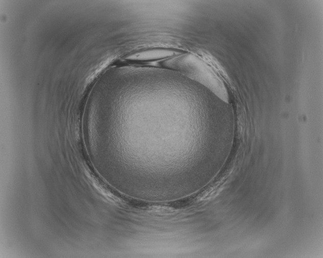 X0000075380393200609291556