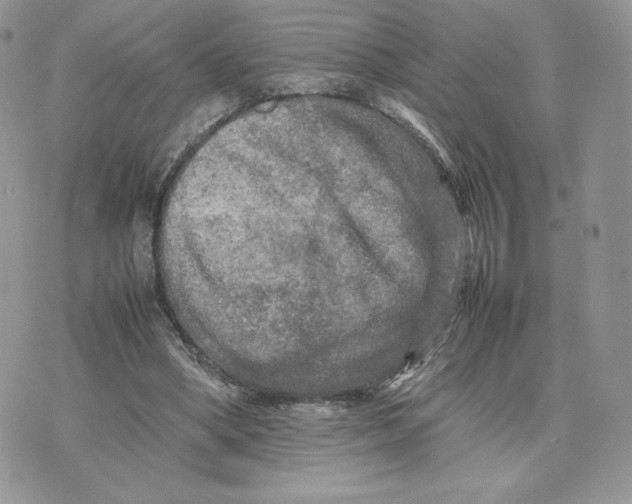 X0000075380394200609291556