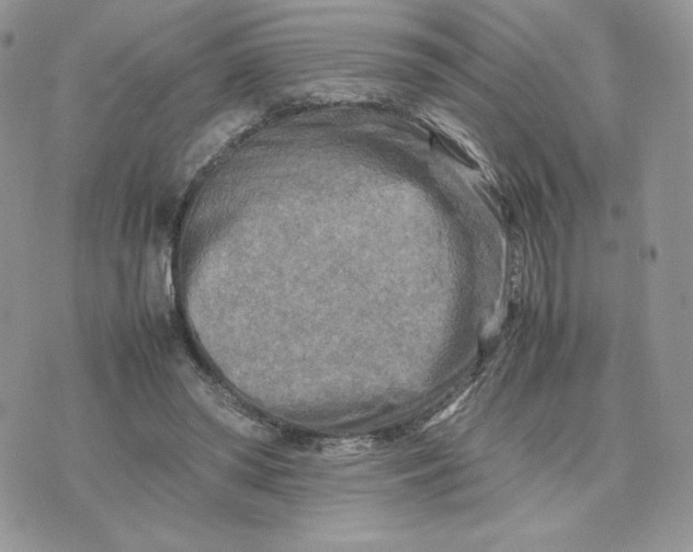 X0000075380398200609291556