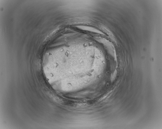 X0000075380401200609291556