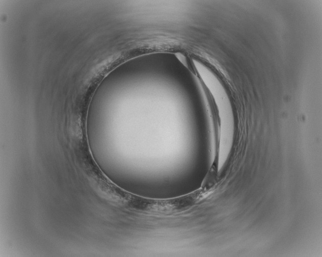 X0000075380403200609291556