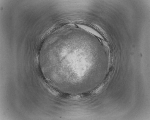 X0000075380405200609291556