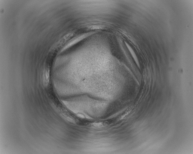 X0000075380406200609291556