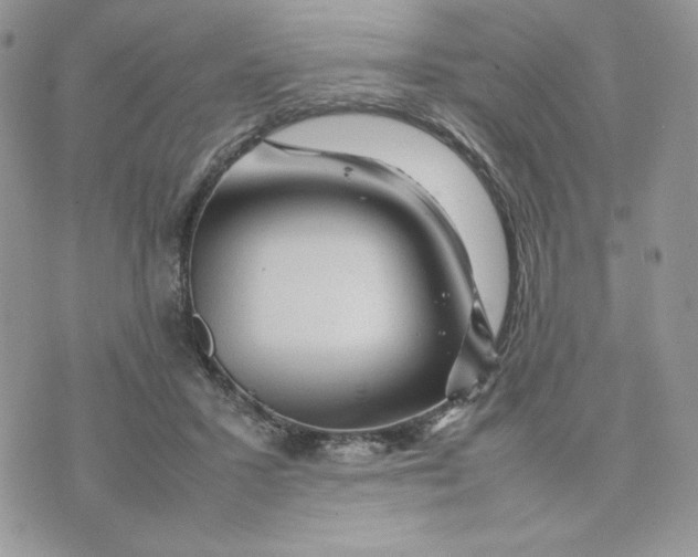 X0000075380407200609291556