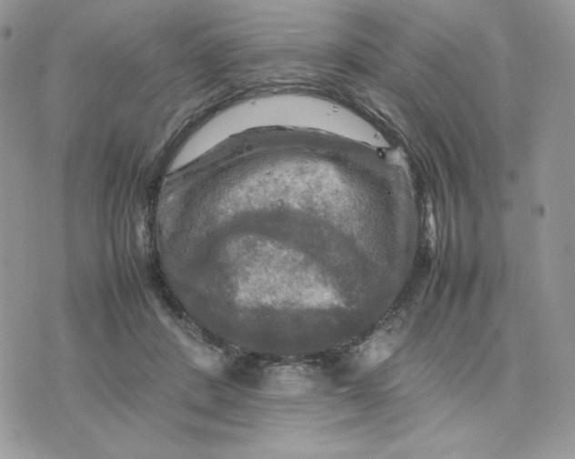 X0000075380408200609291556