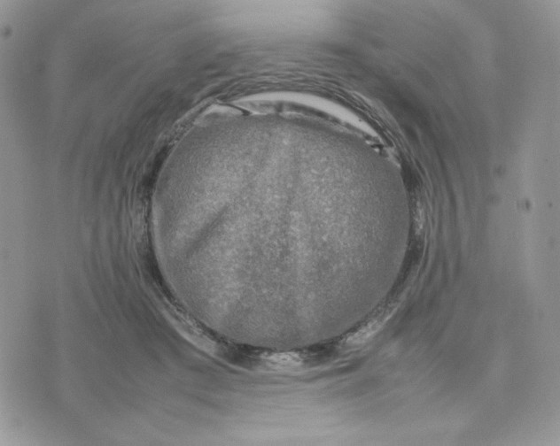 X0000075380409200609291556