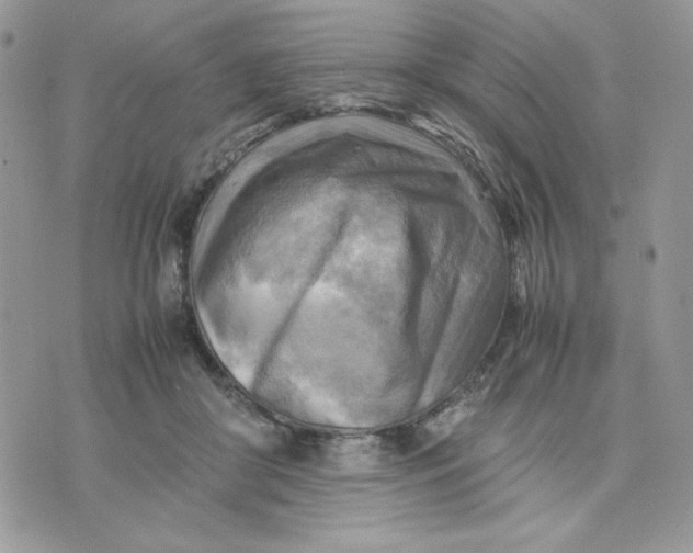 X0000075380410200609291556