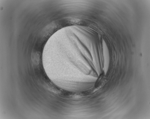 X0000075380412200609291556