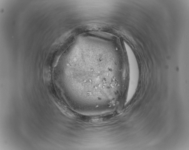 X0000075380413200609291556