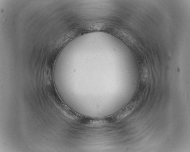 X0000075380414200609291556