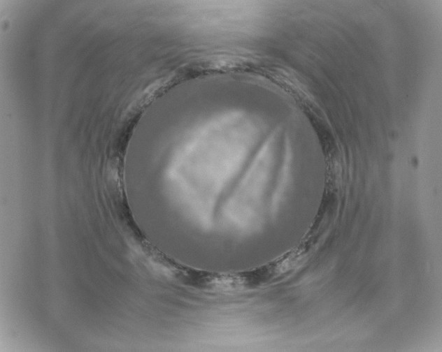 X0000075380415200609291556