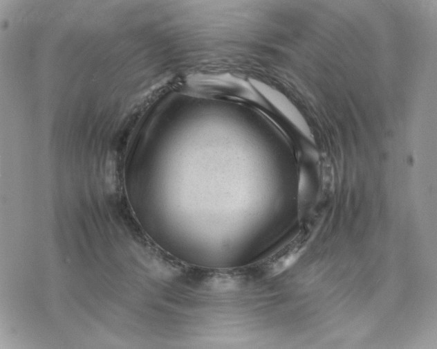 X0000075380416200609291556