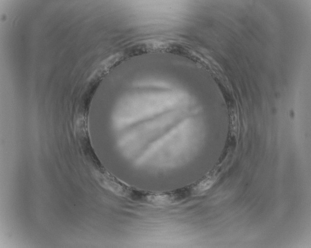 X0000075380419200609291556