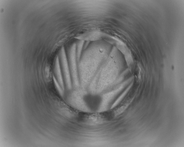 X0000075380420200609291556