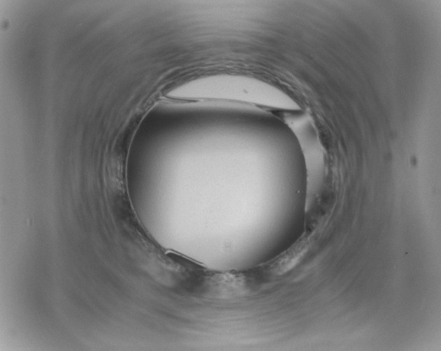 X0000075380421200609291556