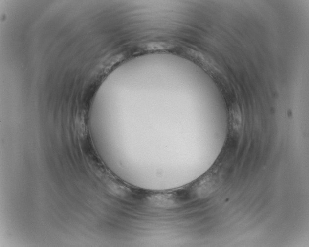 X0000075380422200609291556