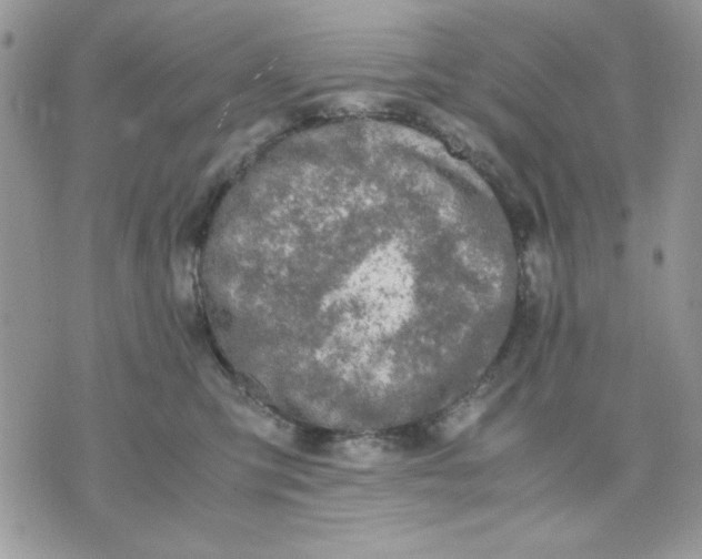 X0000075380423200609291556