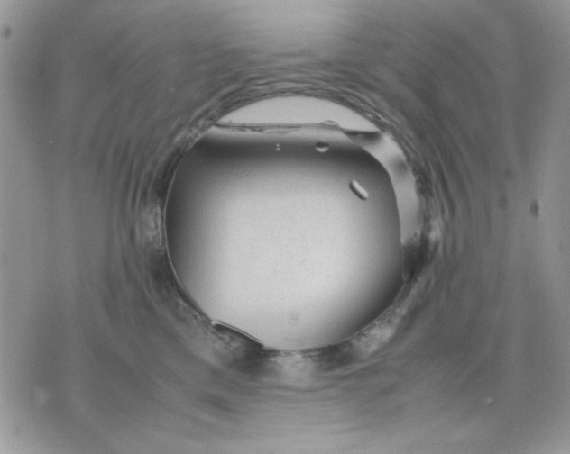 X0000075380425200609291556