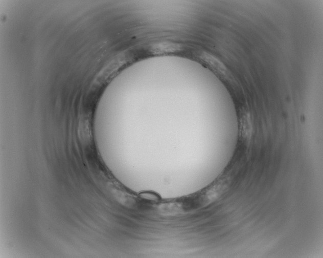 X0000075380426200609291556