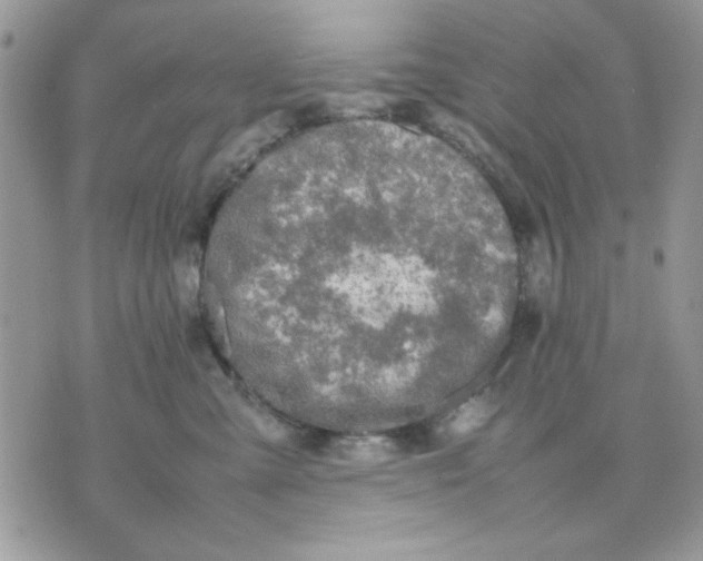 X0000075380427200609291556