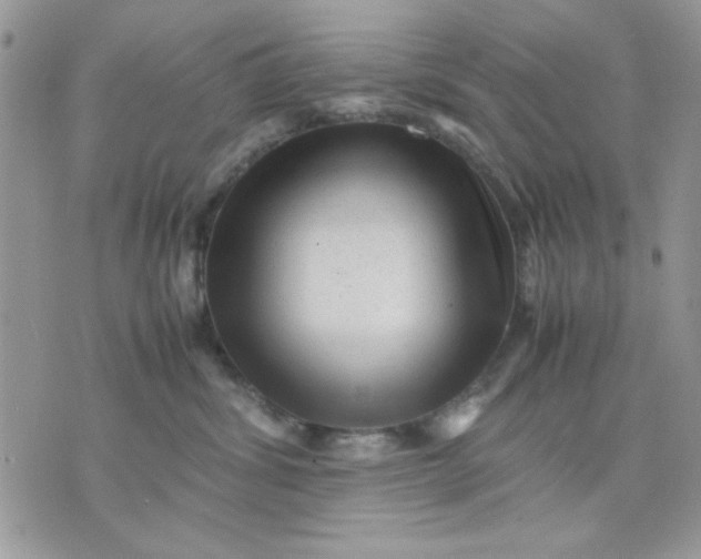 X0000075380428200609291555