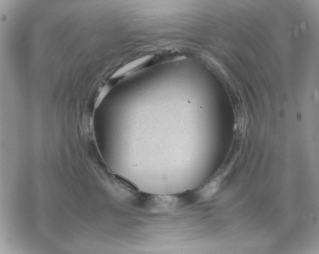 X0000075380429200609291555