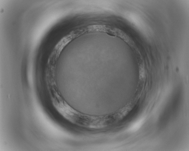 X0000075380431200609291555