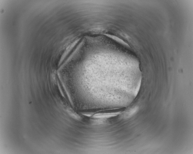 X0000075380432200609291555