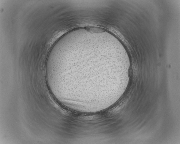 X0000075380433200609291555