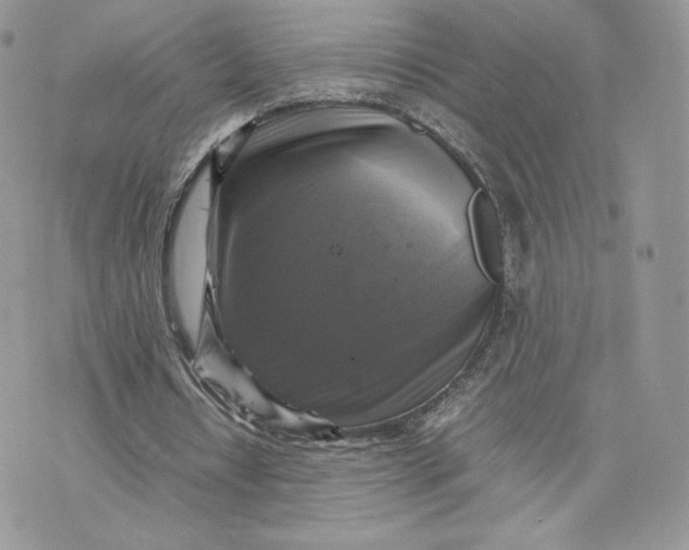 X0000075380434200609291555