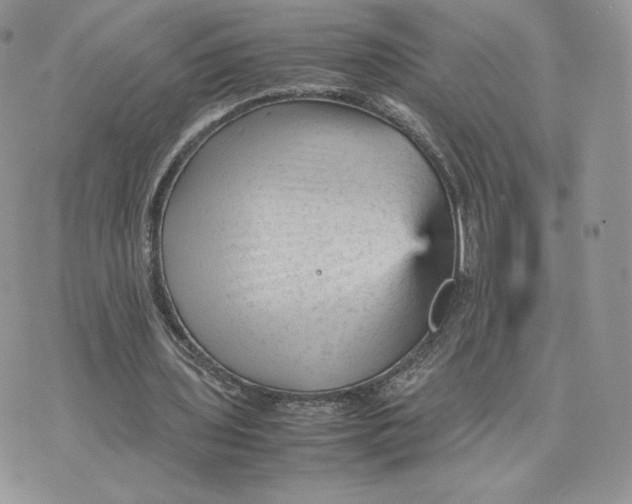 X0000075380435200609291555