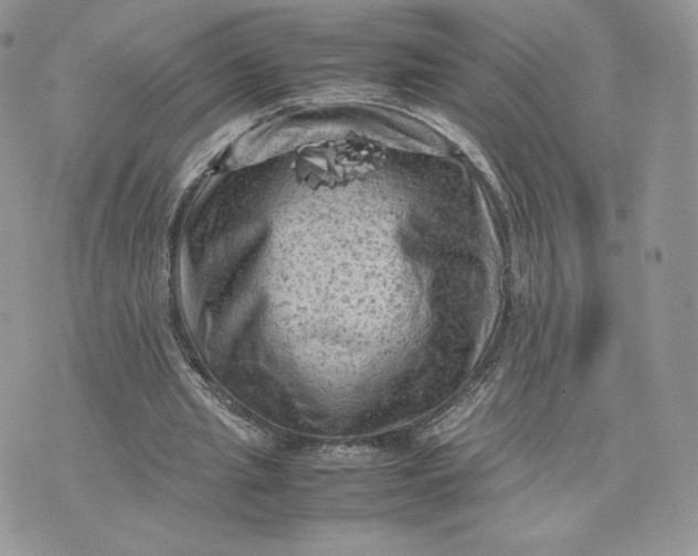 X0000075380437200609291555