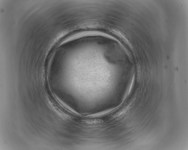 X0000075380439200609291555