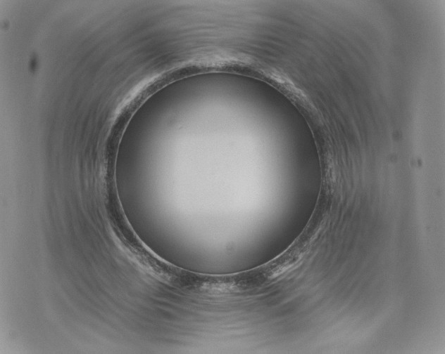 X0000075380440200609291555