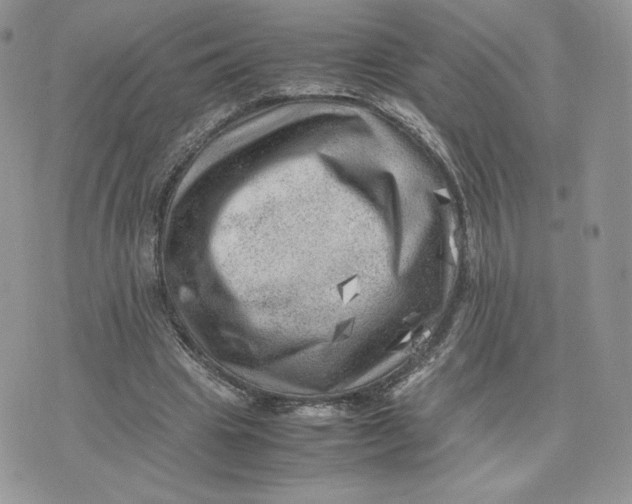 X0000075380441200609291555