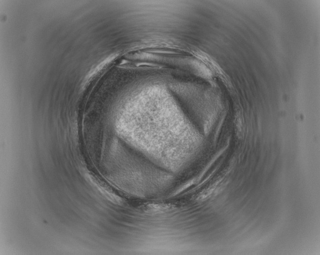 X0000075380442200609291555