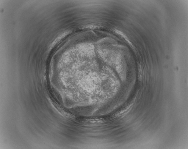 X0000075380443200609291555