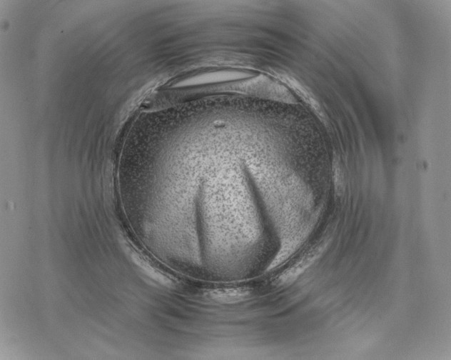 X0000075380445200609291555