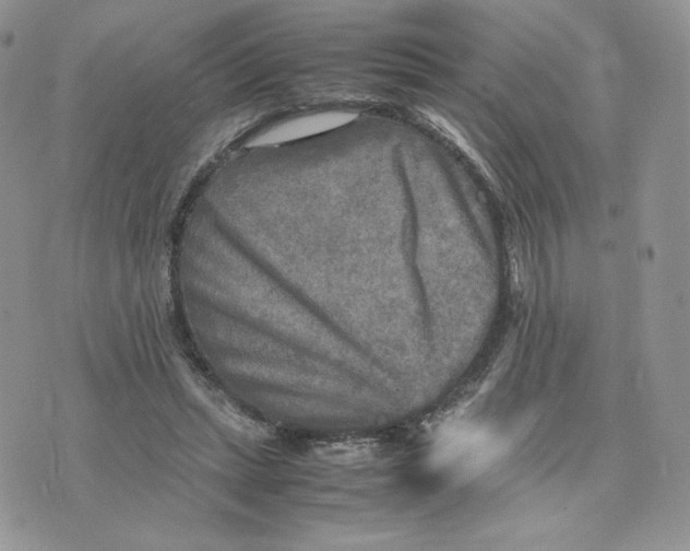 X0000075380447200609291555