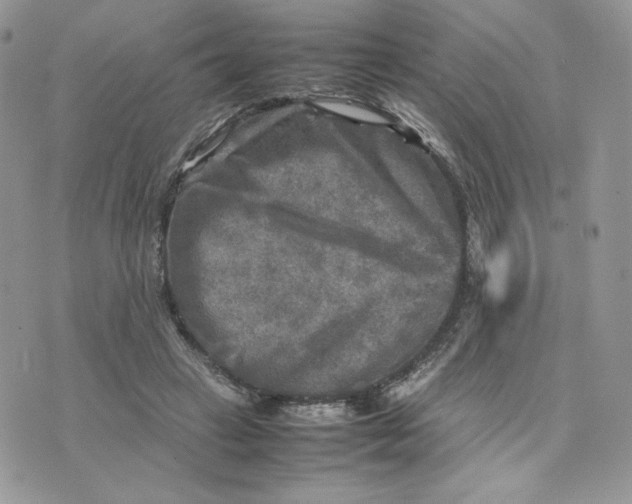 X0000075380449200609291555