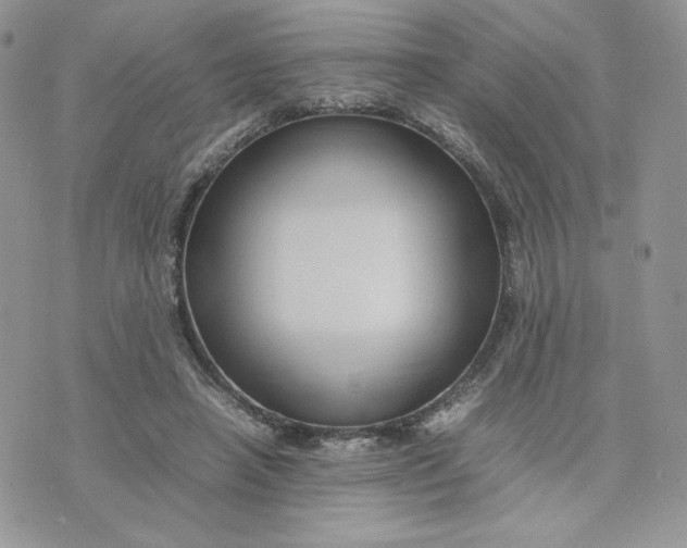 X0000075380450200609291555