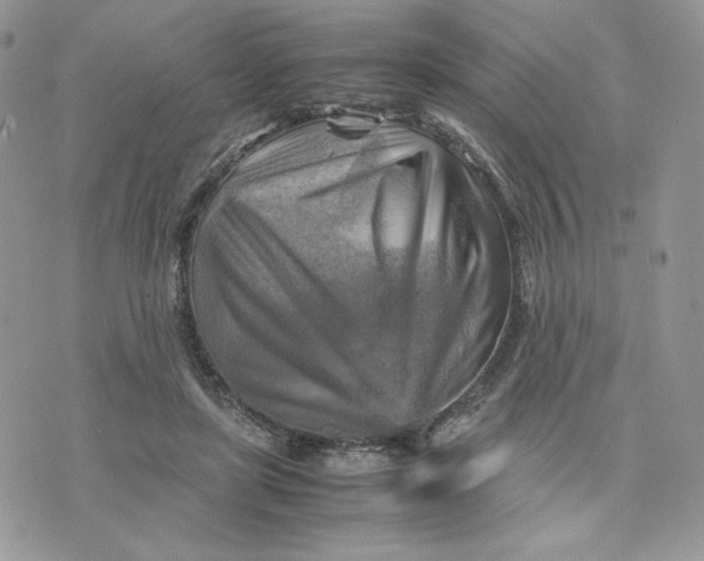 X0000075380451200609291555