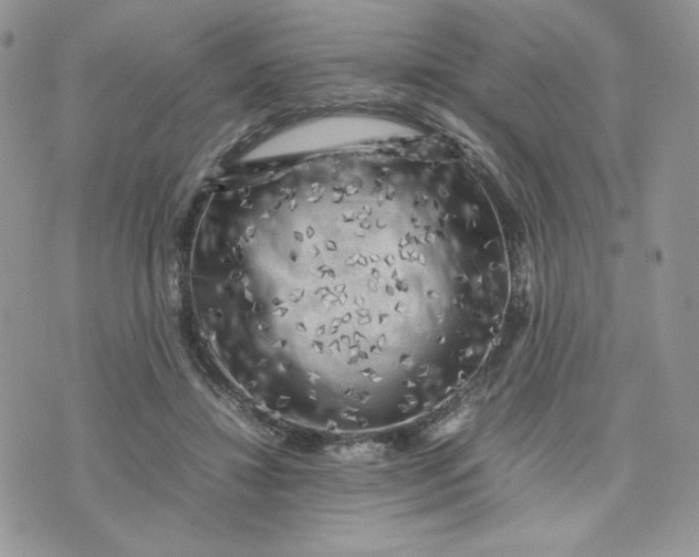 X0000075380452200609291555