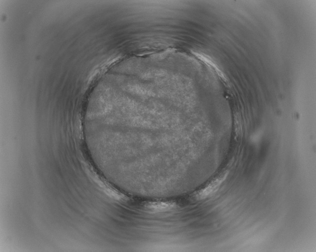 X0000075380453200609291555